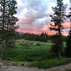 Meet your Posher, Ginger